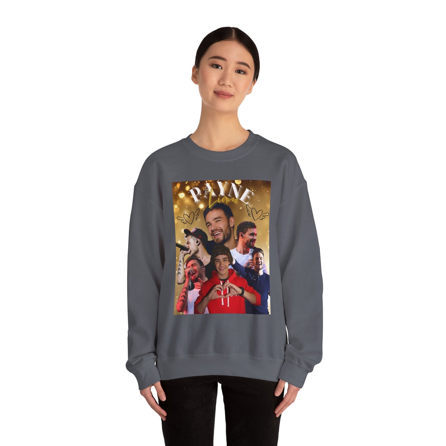 Liam Payne Sweatshirt, Cozy Crewneck Jumper, 1D Fan Apparel, Comfy Pullover, Directioner Merch, Unisex Sweater