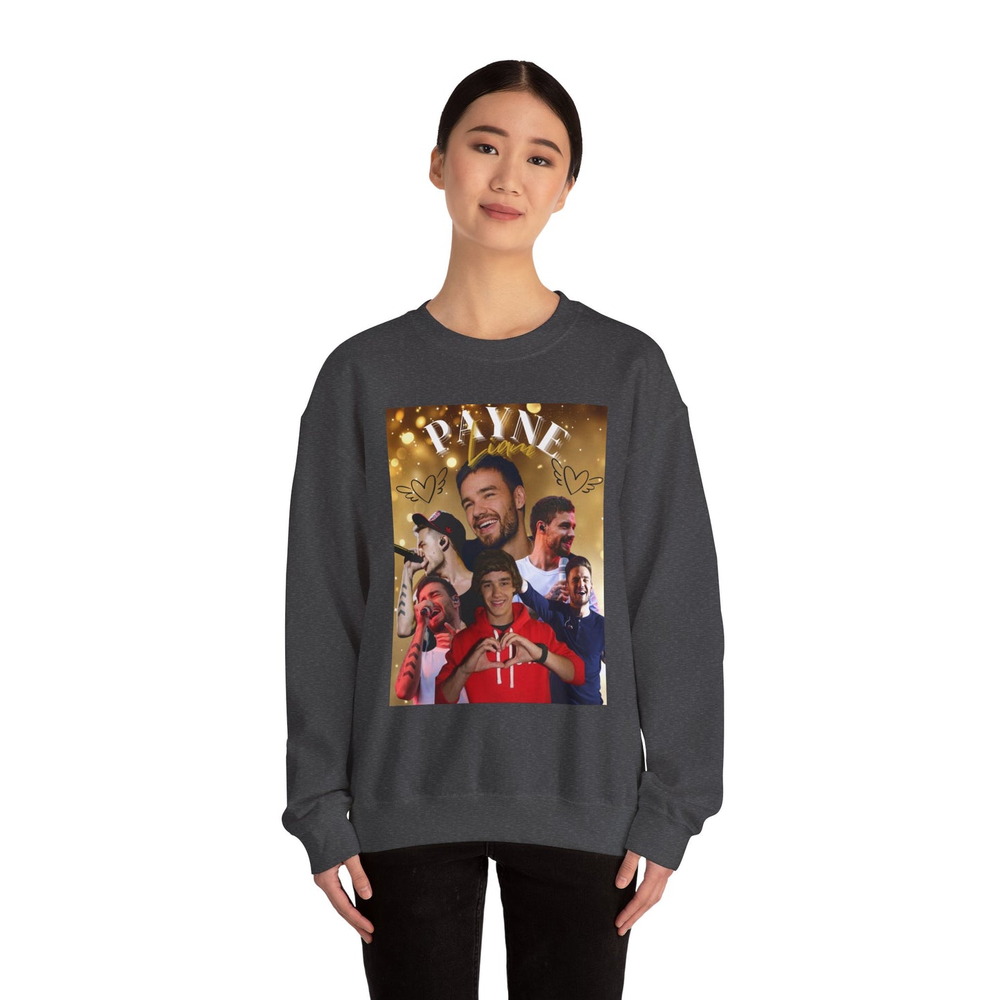 Liam Payne Sweatshirt, Cozy Crewneck Jumper, 1D Fan Apparel, Comfy Pullover, Directioner Merch, Unisex Sweater