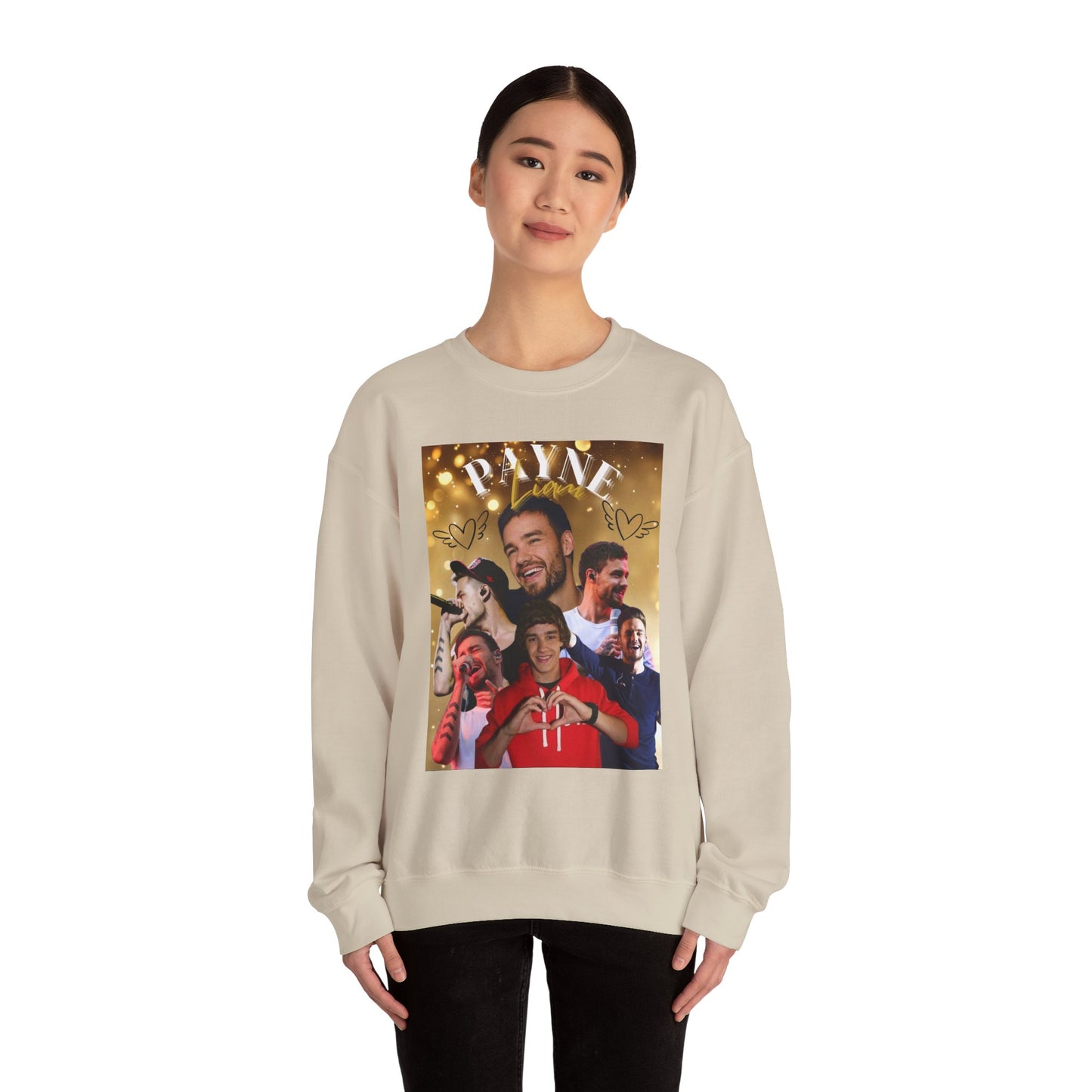 Liam Payne Sweatshirt, Cozy Crewneck Jumper, 1D Fan Apparel, Comfy Pullover, Directioner Merch, Unisex Sweater