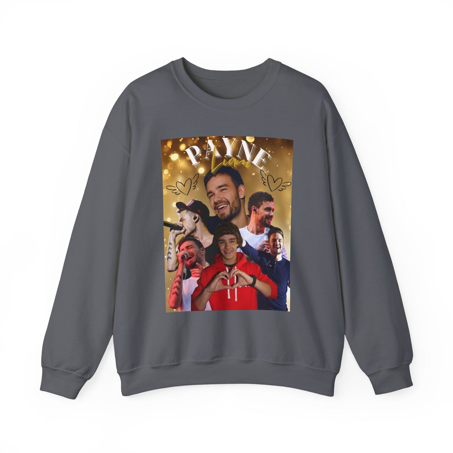 Liam Payne Sweatshirt, Cozy Crewneck Jumper, 1D Fan Apparel, Comfy Pullover, Directioner Merch, Unisex Sweater