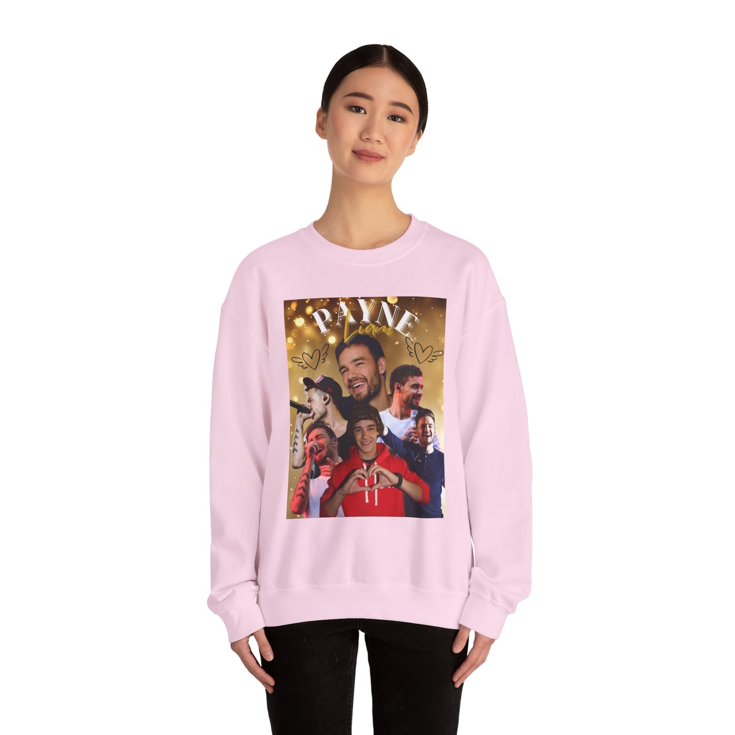 Liam Payne Sweatshirt, Cozy Crewneck Jumper, 1D Fan Apparel, Comfy Pullover, Directioner Merch, Unisex Sweater