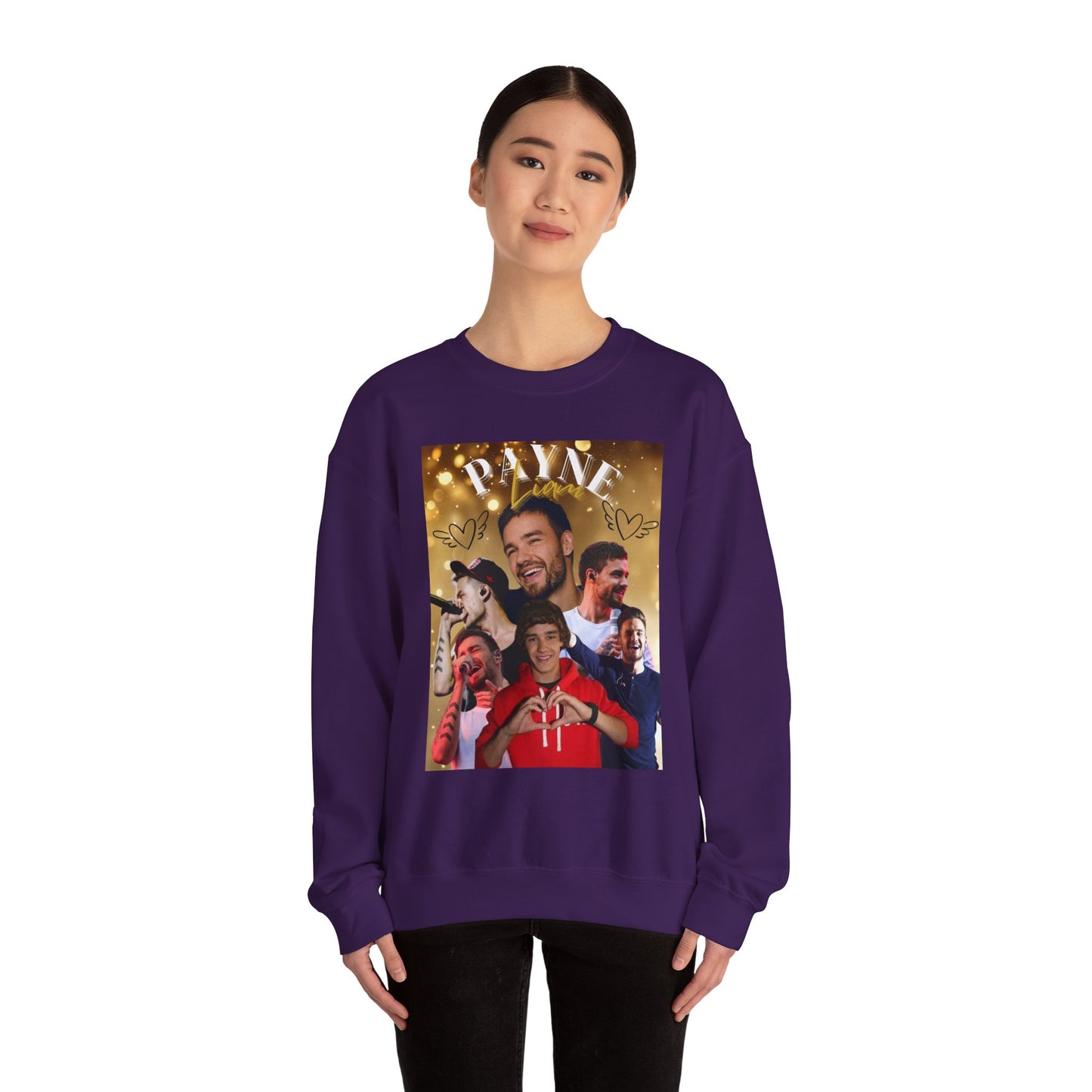 Liam Payne Sweatshirt, Cozy Crewneck Jumper, 1D Fan Apparel, Comfy Pullover, Directioner Merch, Unisex Sweater